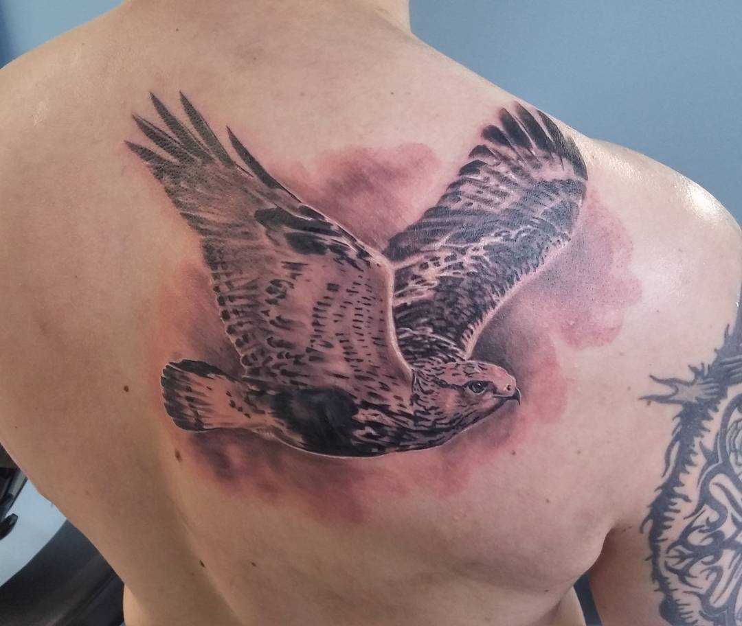 Tatuagem de falcão blade cara