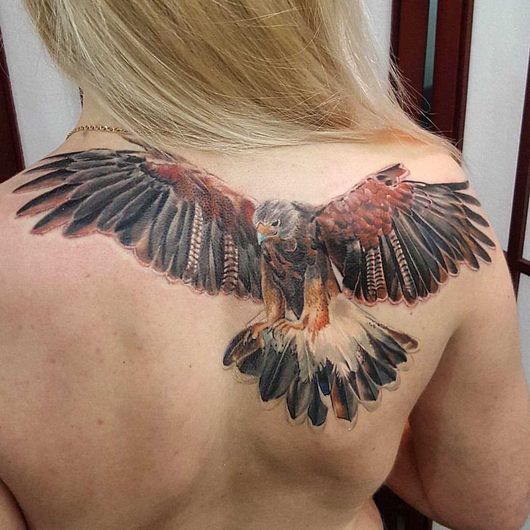 Tatuagem de falcão na parte de trás da menina