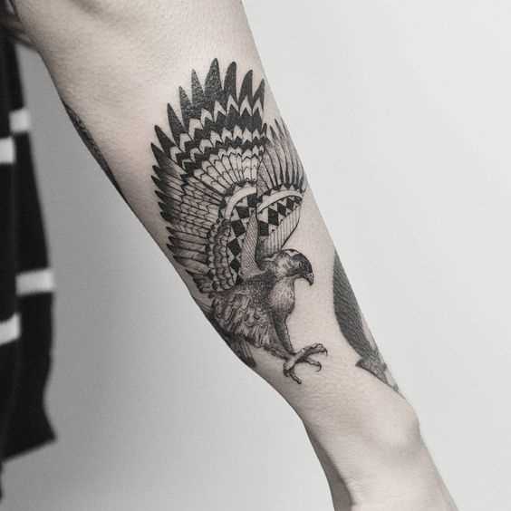 Tatuagem de falcão no antebraço cara