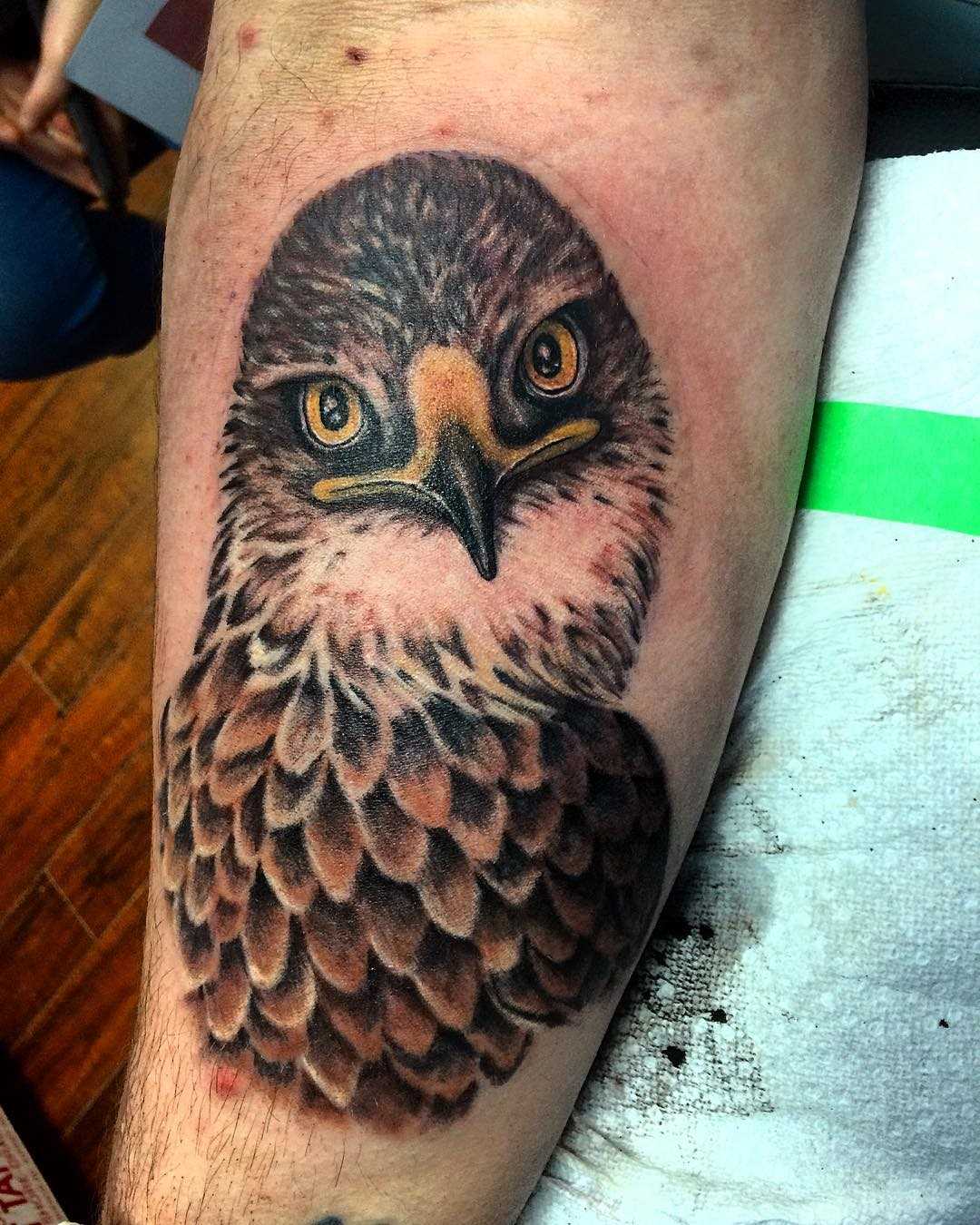 Tatuagem de falcão no antebraço homens