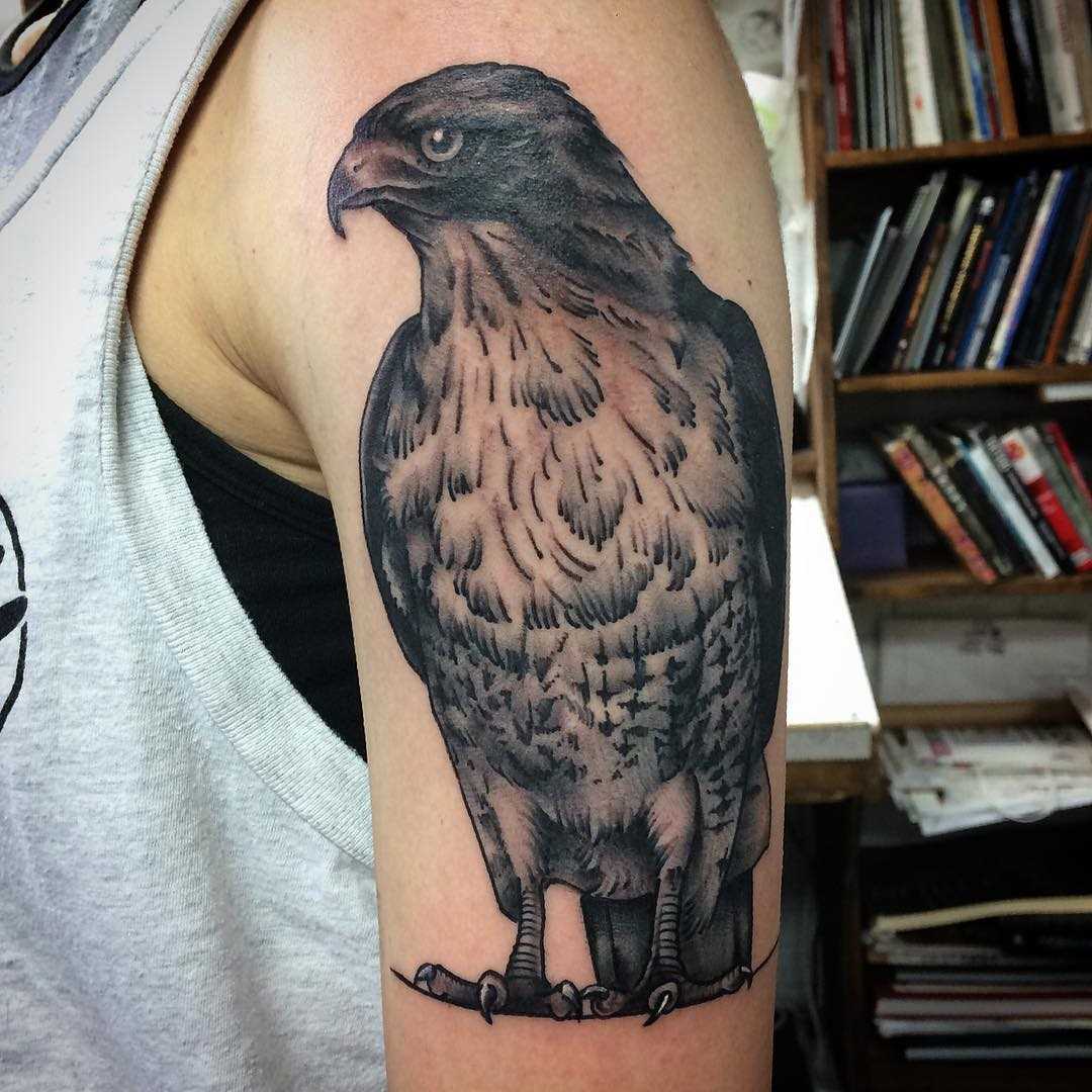 Tatuagem de falcão no ombro de homens