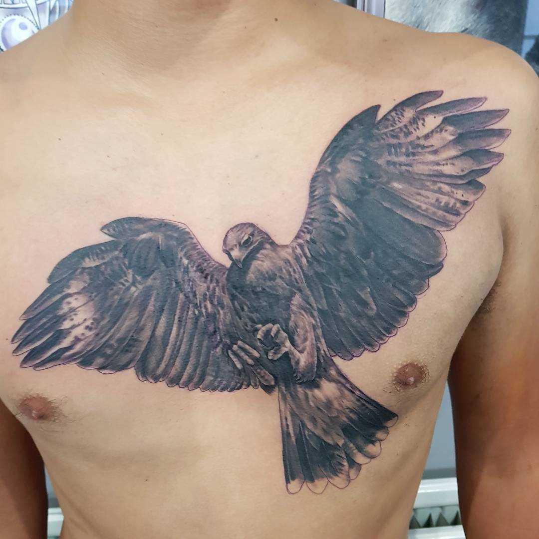 Tatuagem de falcão no peito do cara
