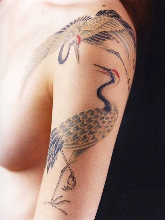 Tatuagem de gruas no antebraço da mulher