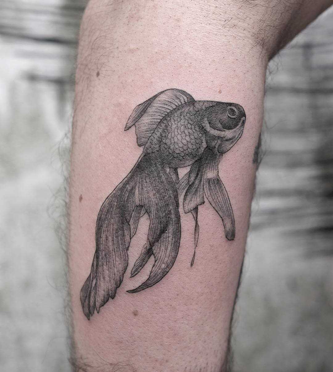 Tatuagem de peixe de ouro sobre a perna de um cara