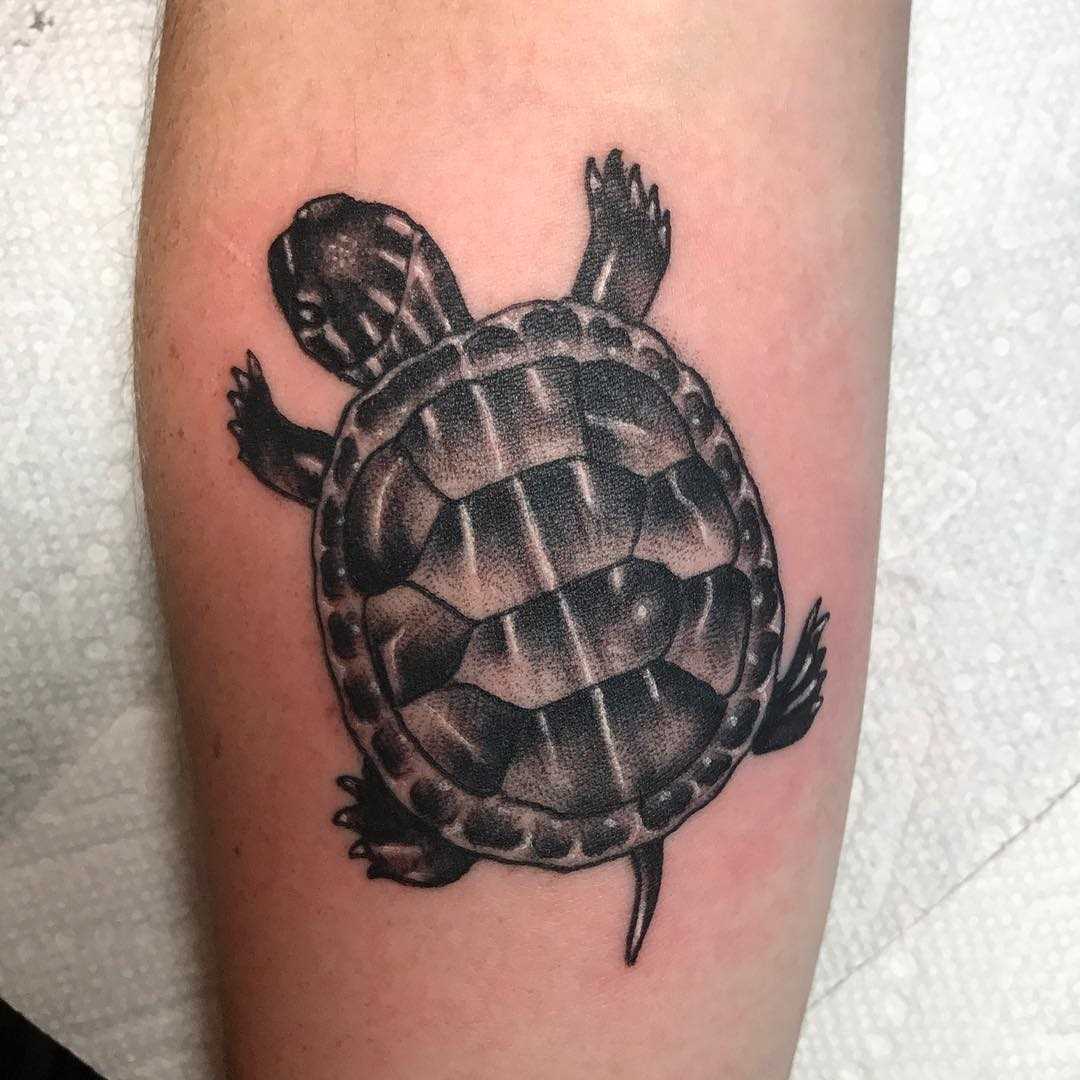 Tatuagem de tartaruga no antebraço cara