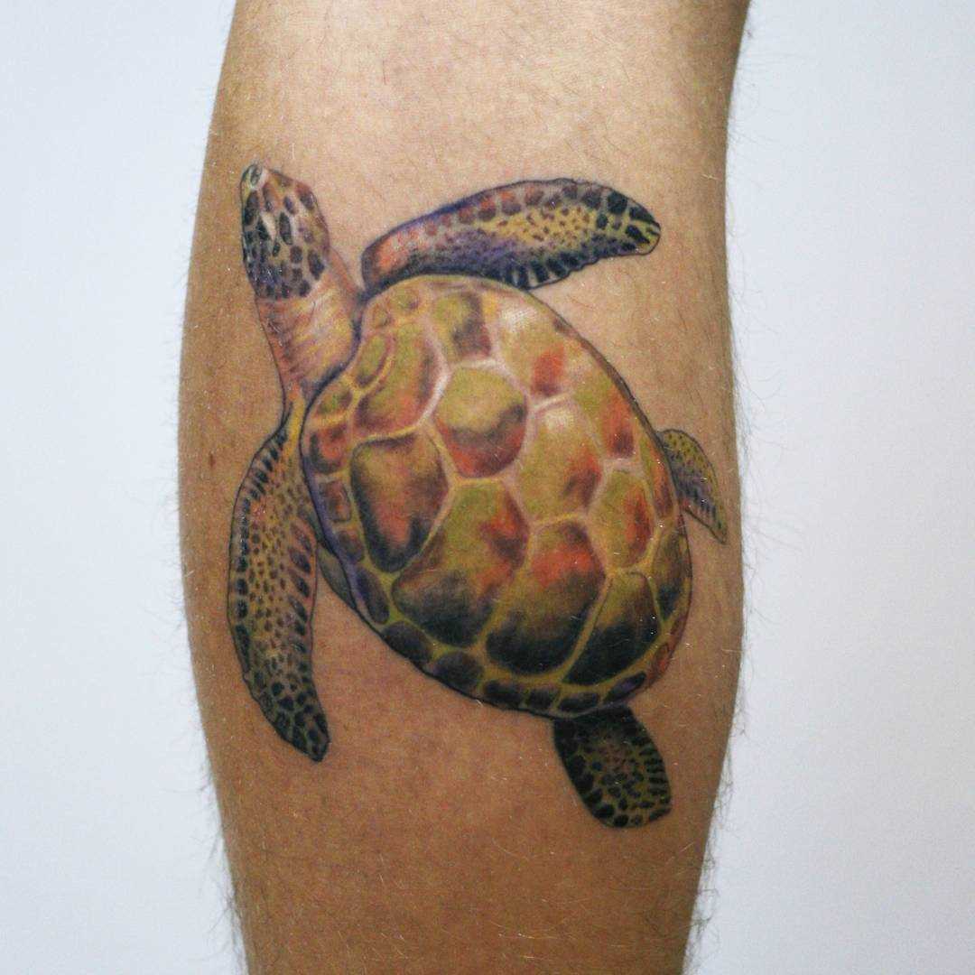 Tatuagem de tartaruga sobre a perna de um cara