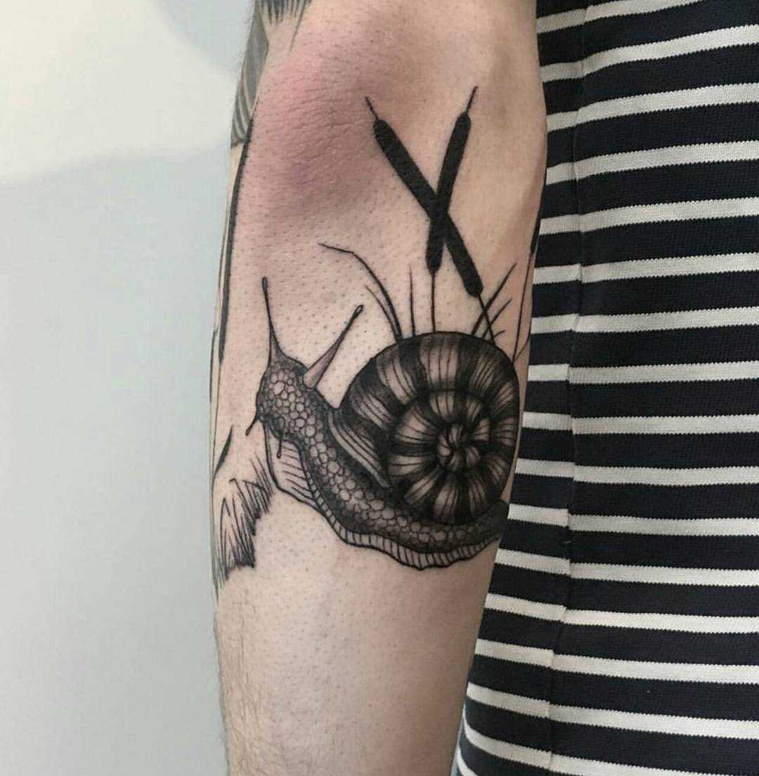 Tatuagem de um caracol no antebraço cara