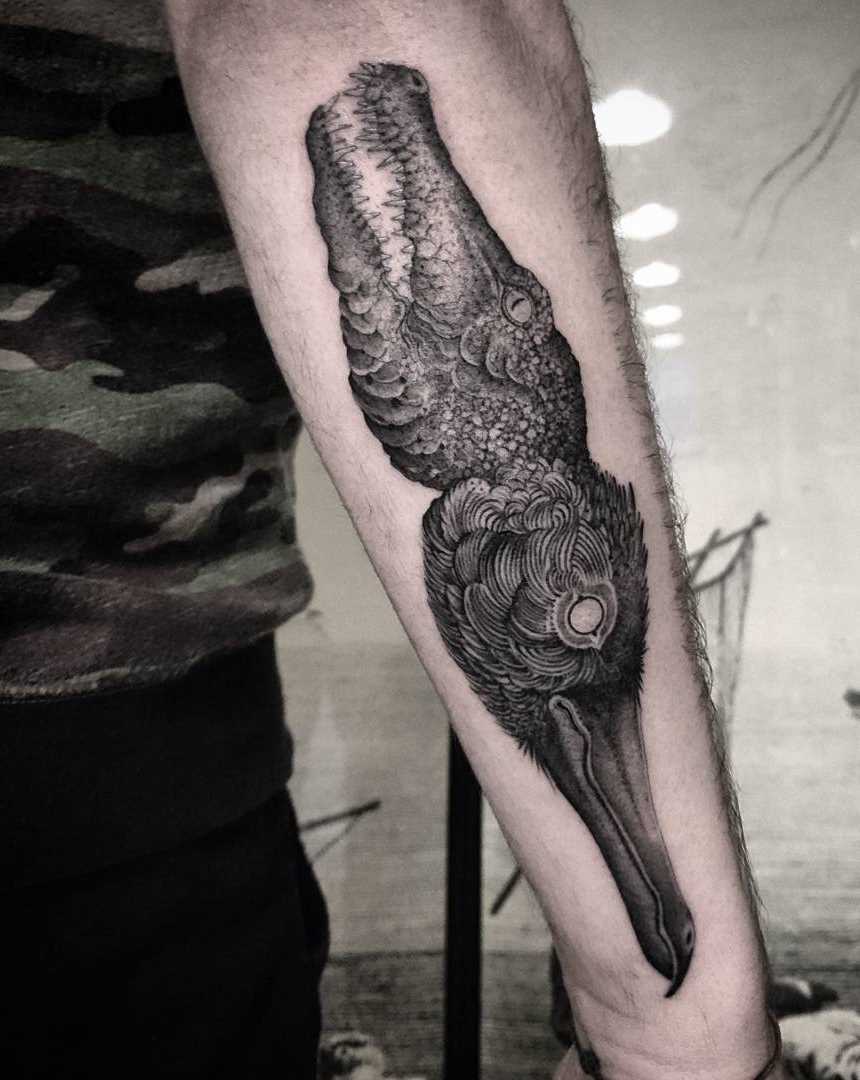 Tatuagem de um crocodilo com um pássaro no antebraço cara
