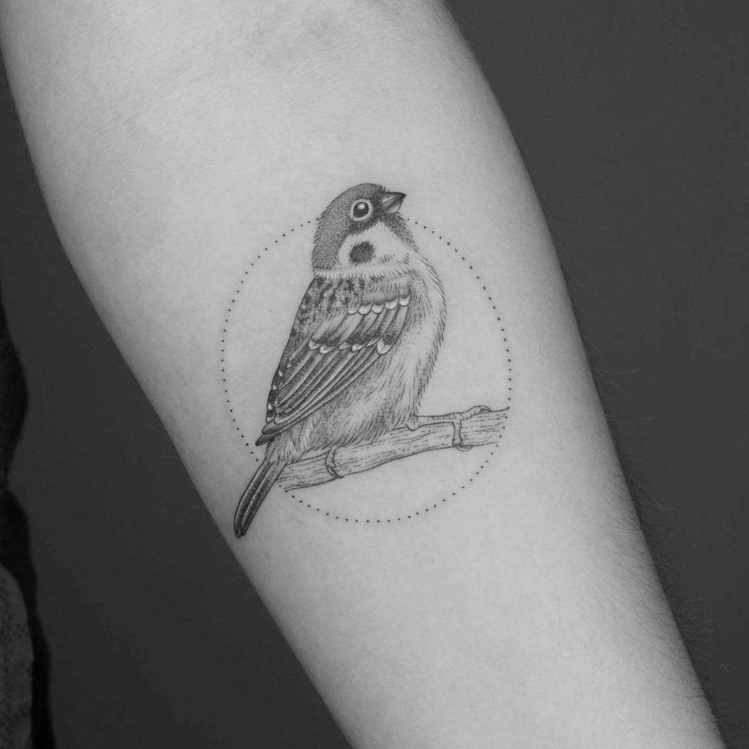 Tatuagem de um pardal no antebraço cara
