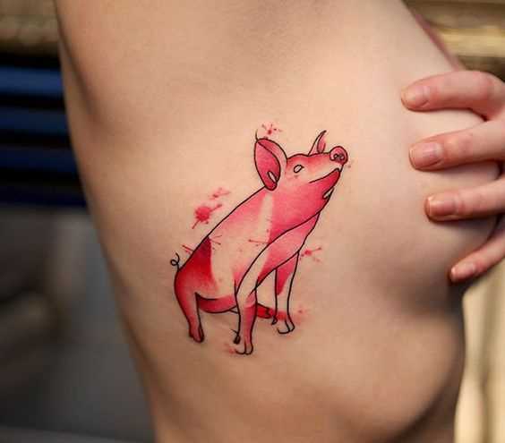 Tatuagem de um porco em um lado de uma menina