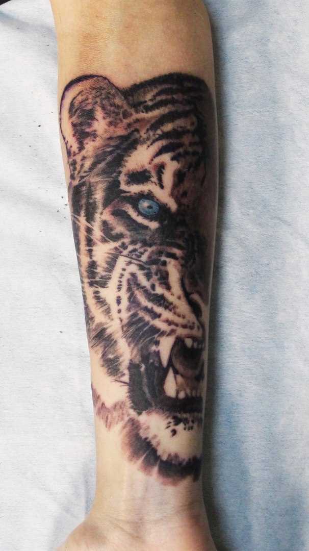 Tatuagem de um tigre no antebraço da menina