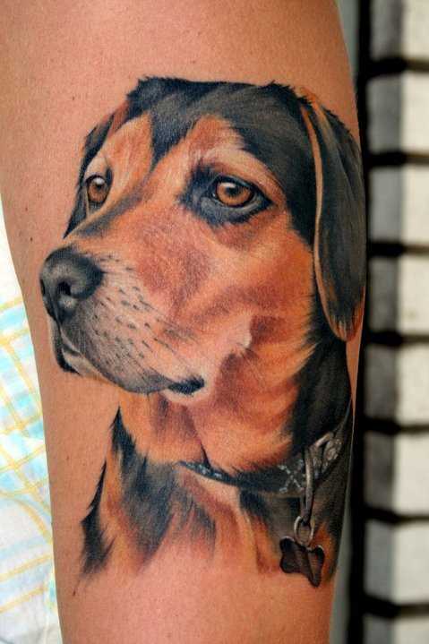 Tatuagem de uma menina no antebraço - cão