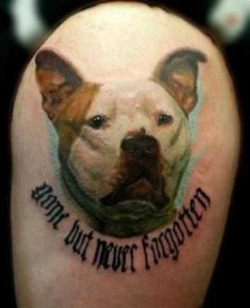 Tatuagem de uma menina no ombro - o cão e a inscrição