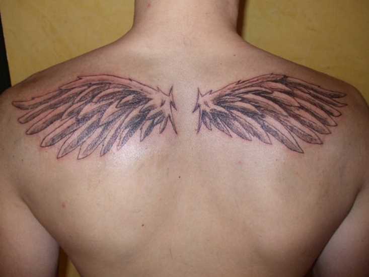 Tatuagem em lâminas cara - asas