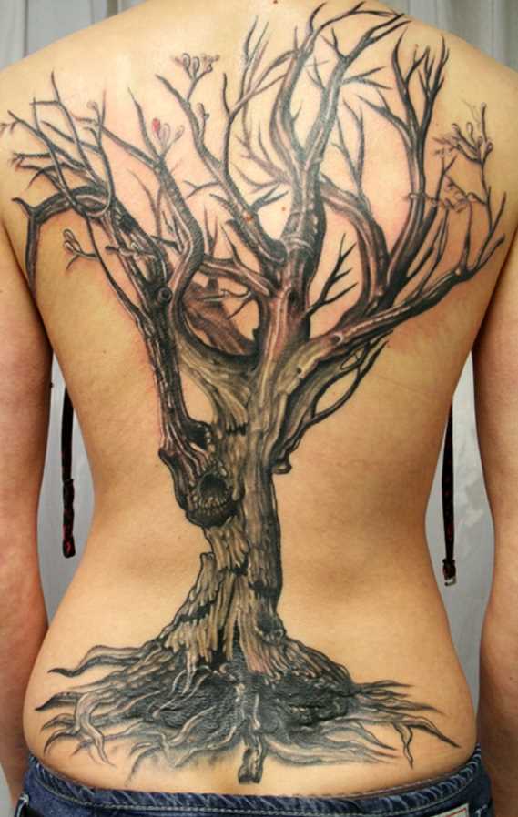 Tatuagem em toda a volta da menina - uma árvore sem folhas