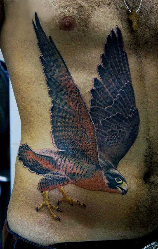 Tatuagem na barriga de um cara - de- falcão