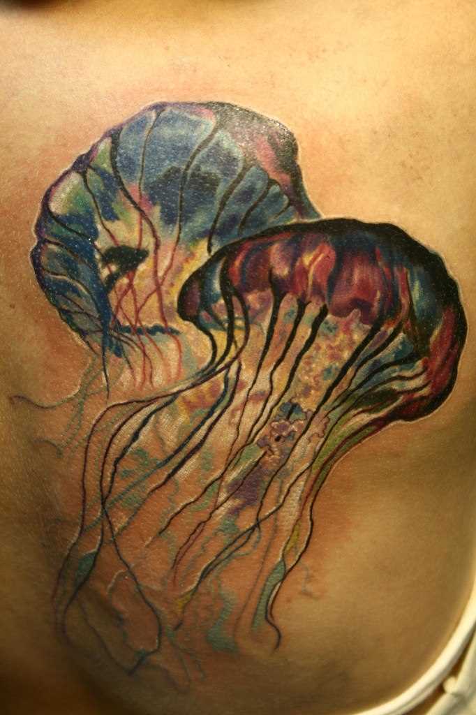 Tatuagem na barriga do cara - de- água-viva