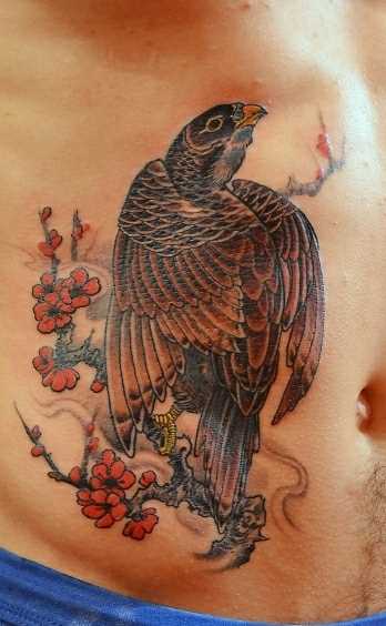 Tatuagem na barriga do cara - falcão
