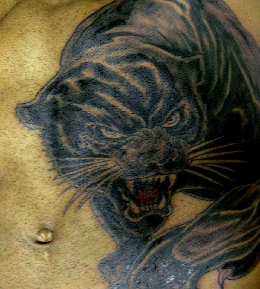 Tatuagem na barriga do cara - pantera