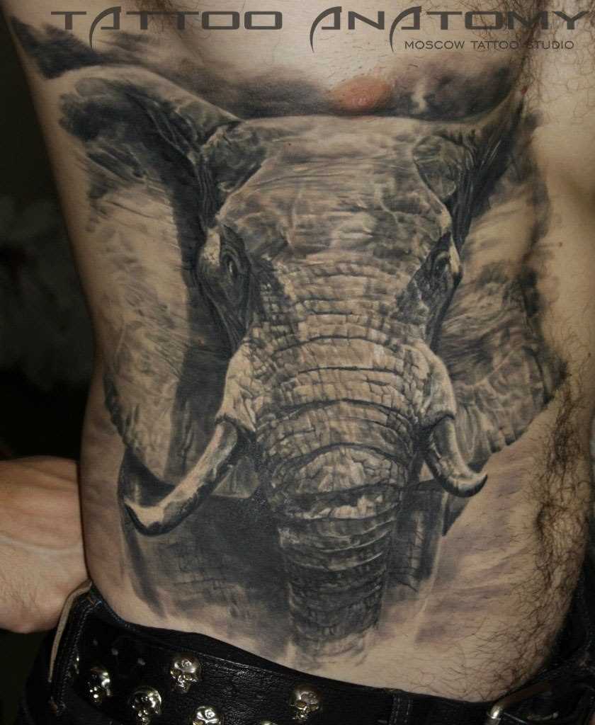 Tatuagem na barriga para o homem - elefante