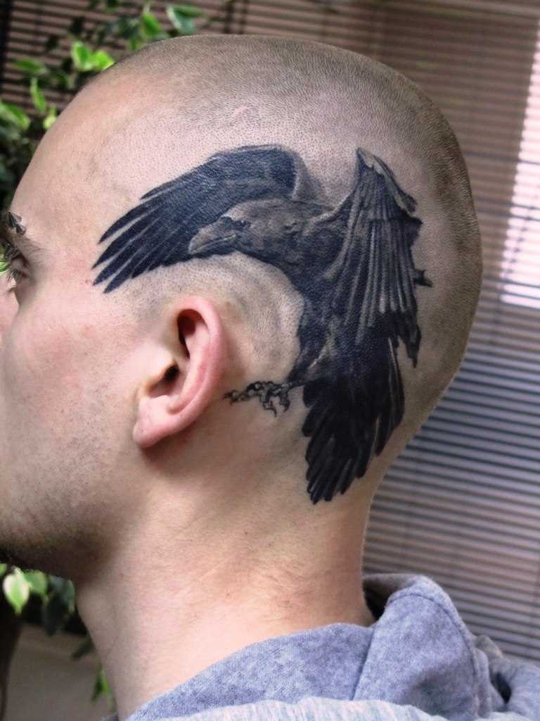 Tatuagem na cabeça de um cara - de- corvo