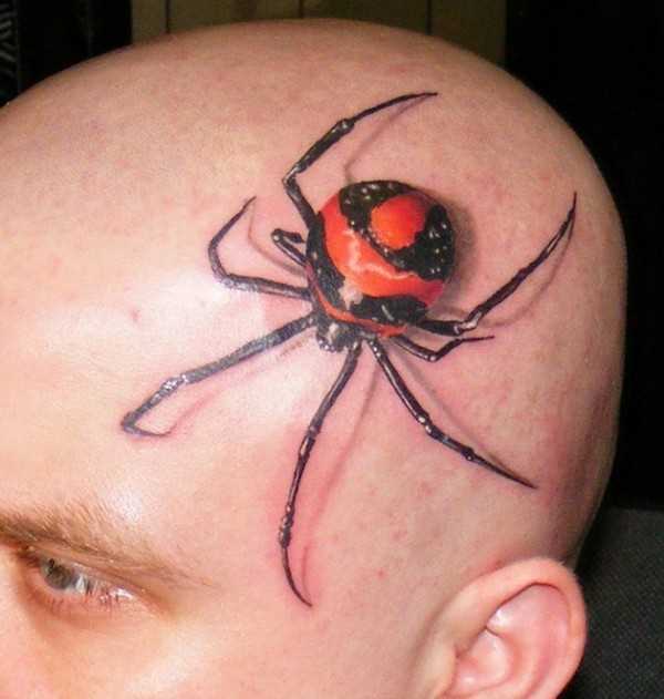 Tatuagem na cabeça do homem - aranha
