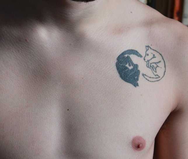 Tatuagem na clavícula do cara - de- cão como um símbolo do Yin-Yang