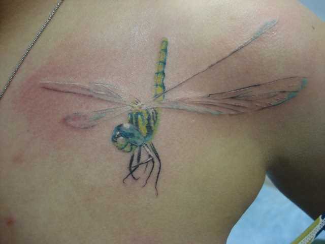 Tatuagem na clavícula meninas - libélula