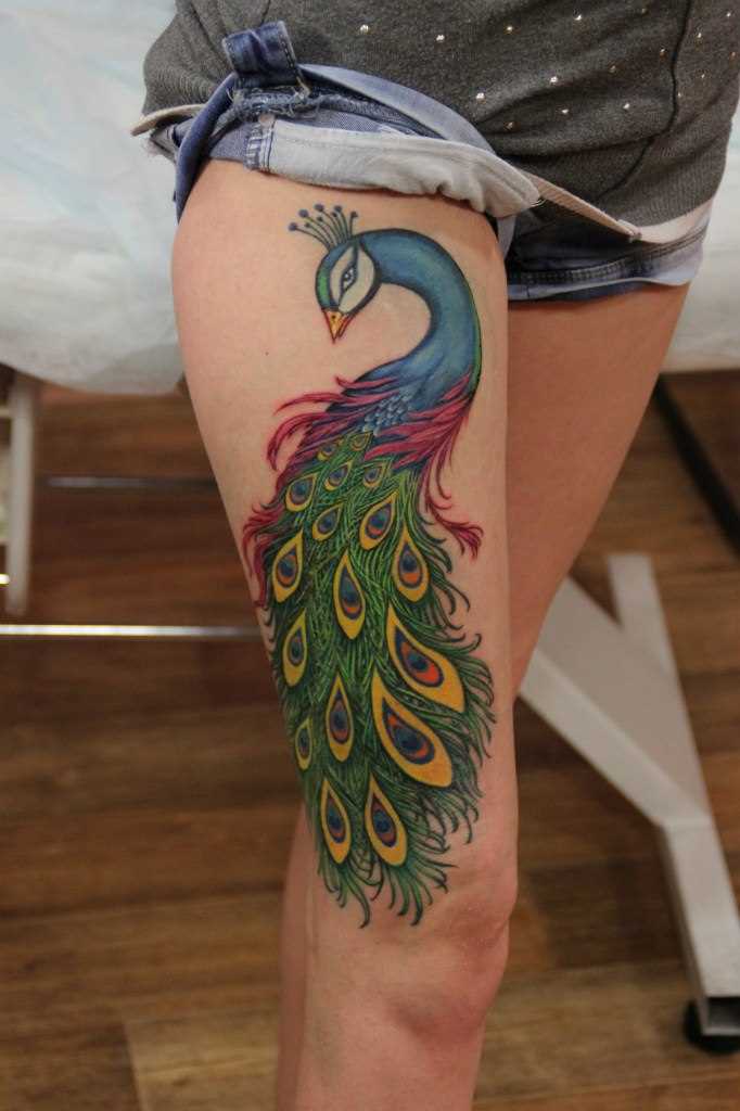 Tatuagem na coxa da menina - pavão
