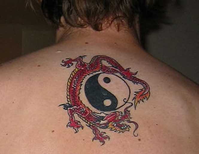 Tatuagem na espinha cara - de Yin-Yang e o dragão