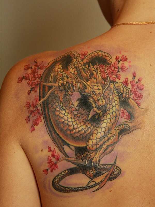 Tatuagem na lâmina de uma menina de dragão, e sakura