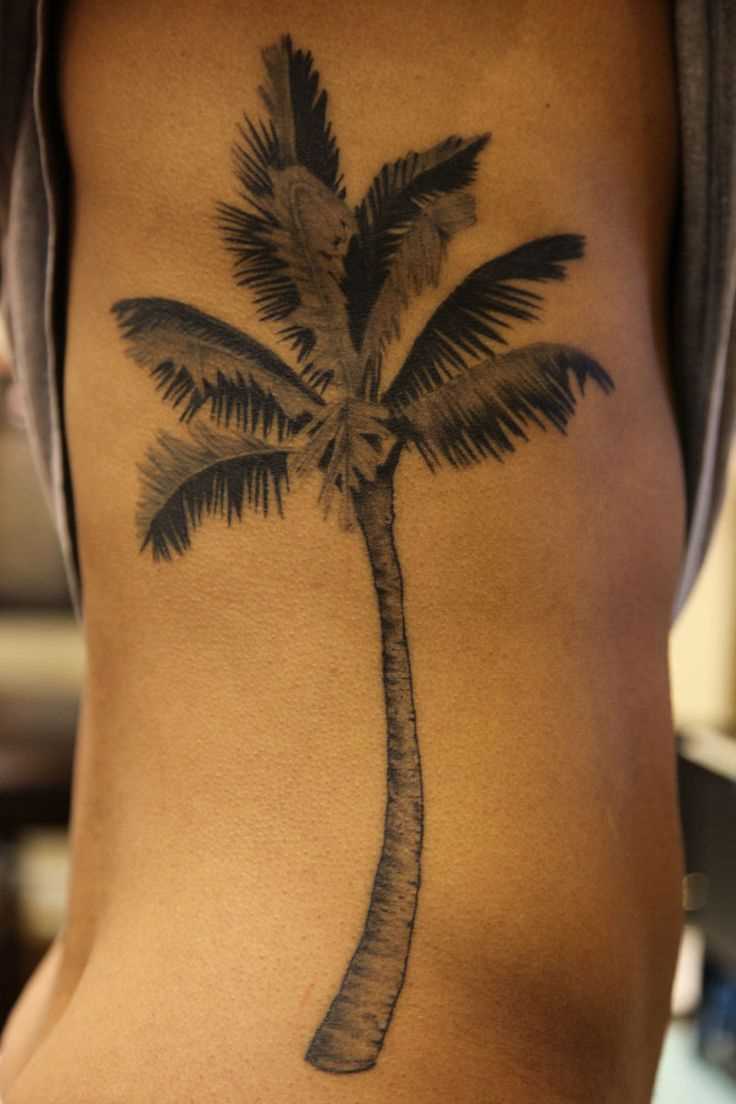 Tatuagem na lateral da cara - a árvore de palma
