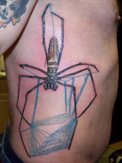 Tatuagem na lateral da cara - de- teia de aranha e a aranha
