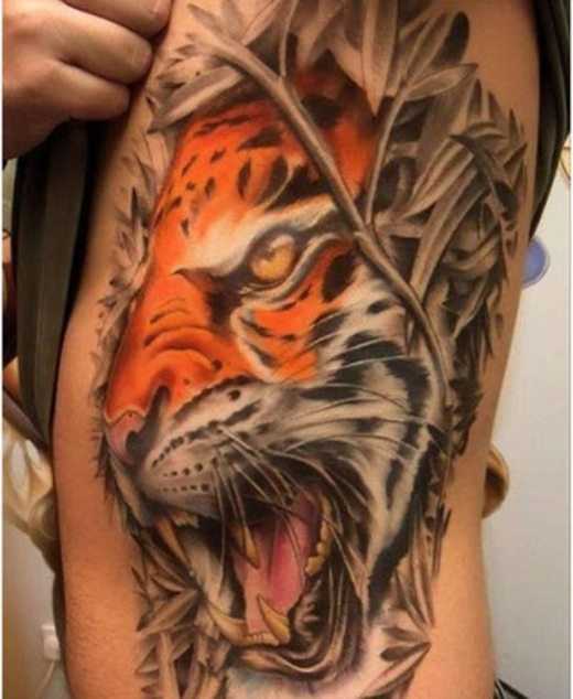 Tatuagem na lateral do homem - tigre