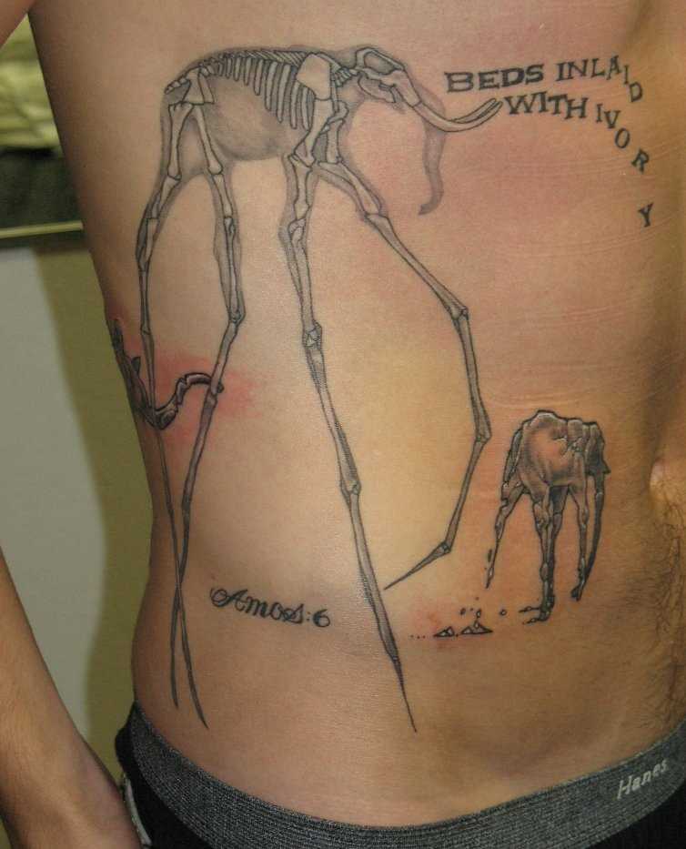 Tatuagem na lateral e no estômago do cara - elefantes