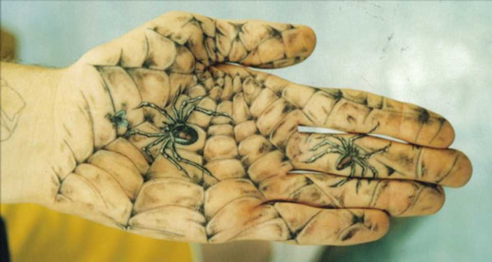 Tatuagem na palma da mão de um cara - a web e aranhas