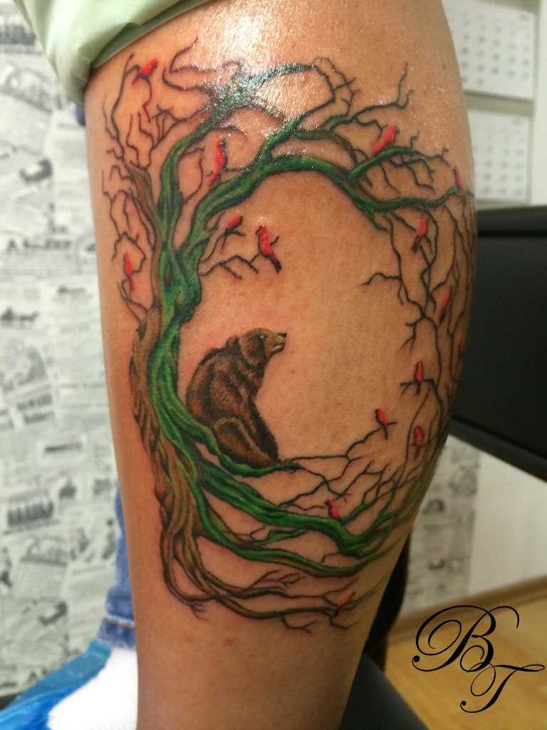 Tatuagem na perna da menina - a árvore e o urso