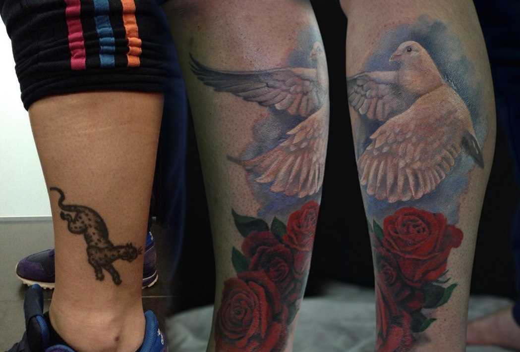 Tatuagem na perna da menina - a pomba e a rosa