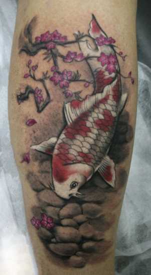 Tatuagem na perna da menina - carpa e sakura