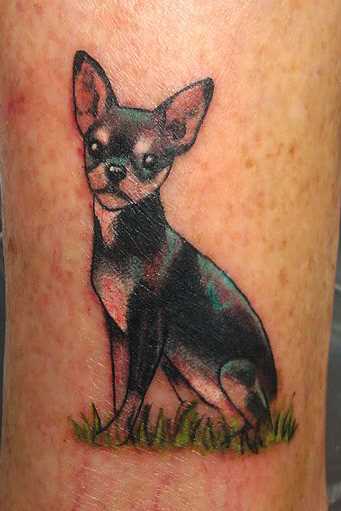 Tatuagem na perna da menina, na forma de um cachorro na grama