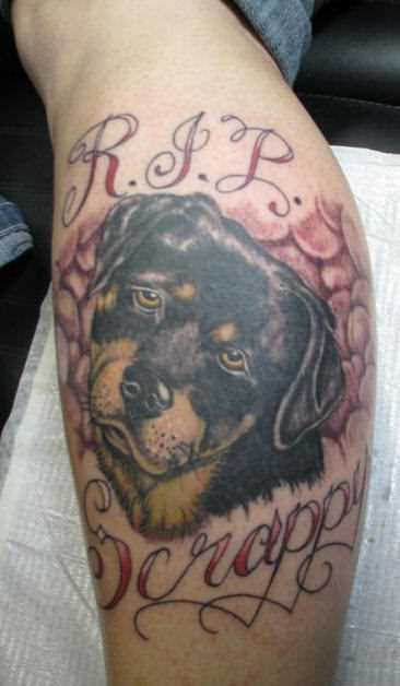 Tatuagem na perna da menina - o cão e a inscrição