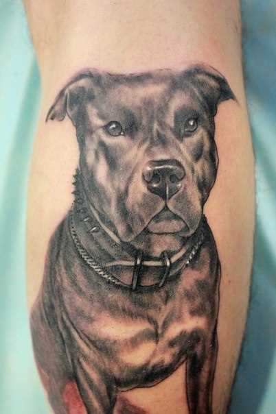 Tatuagem na perna de um cara - de- cão
