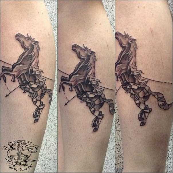 Tatuagem na perna de um cara - de- cavalo
