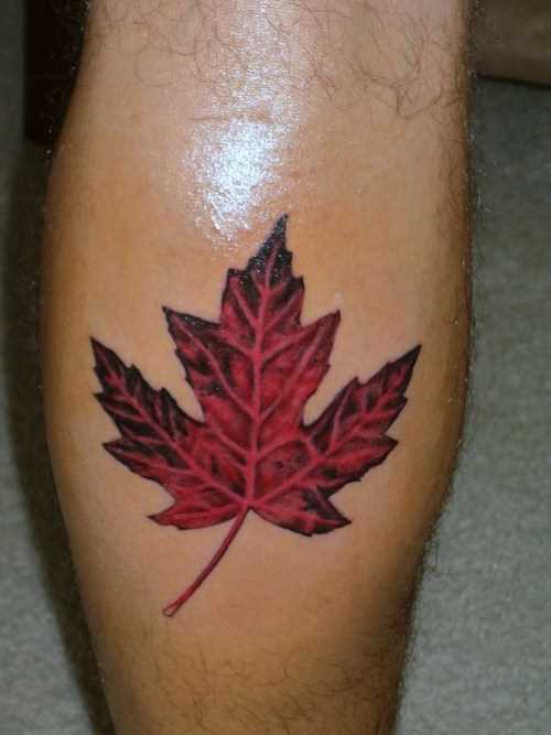Tatuagem na perna de um cara em forma de folha
