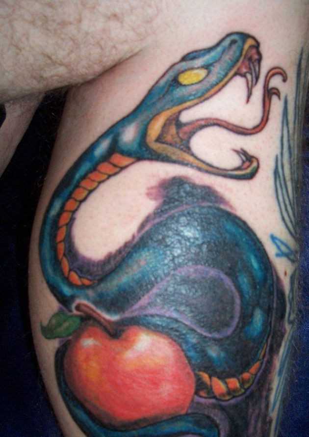 Tatuagem na perna de um cara em forma de serpente e a maçã