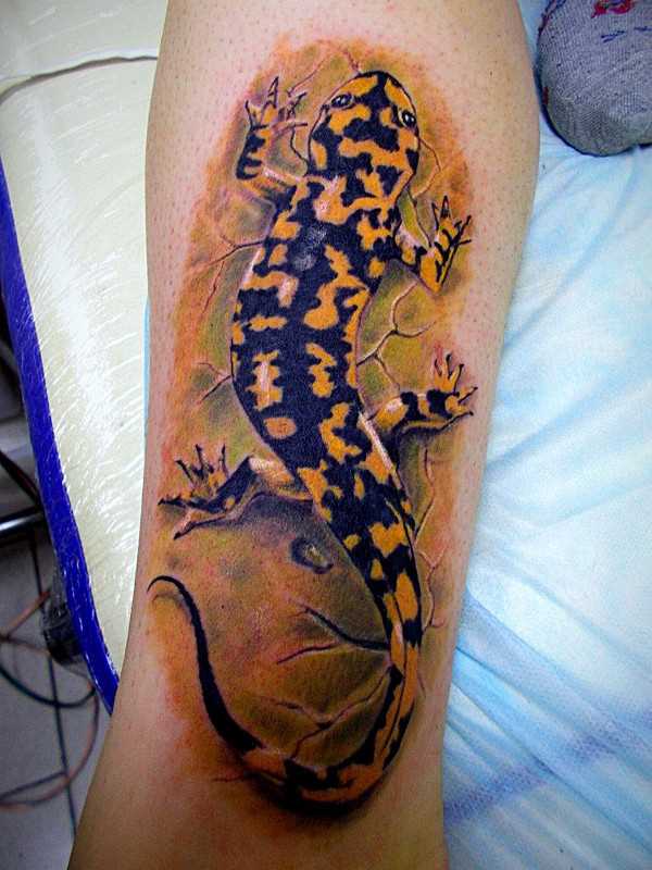 Tatuagem na perna de um cara - manchado de lagarto