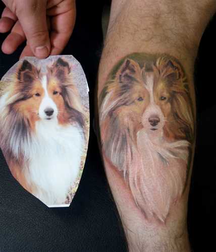 Tatuagem na perna do cara - de- cão collie