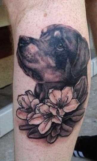 Tatuagem na perna do cara - de- cão e sakura