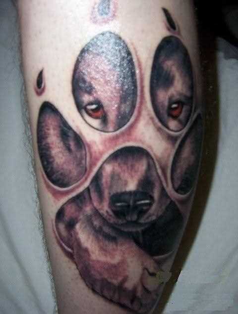 Tatuagem na perna do cara - o cão e a pata de um cão