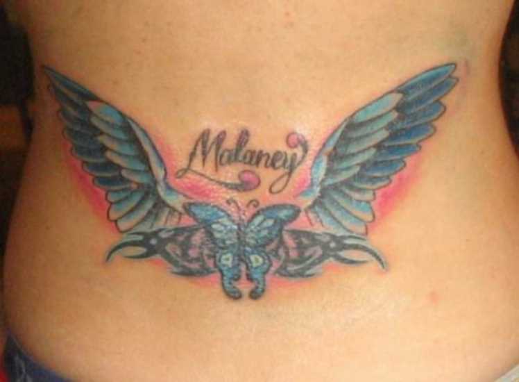 Tatuagem nas costas da menina - asas, borboleta, e padrão de inscrição